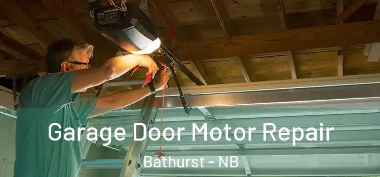  Garage Door Motor Repair Bathurst - NB