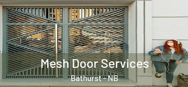  Mesh Door Services Bathurst - NB