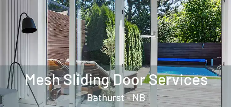  Mesh Sliding Door Services Bathurst - NB